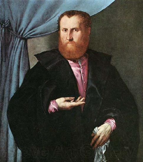 Lorenzo Lotto Portrait of a Man in Black Silk Cloak France oil painting art